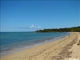 La Ceiba de Vieques - VIEQUES
